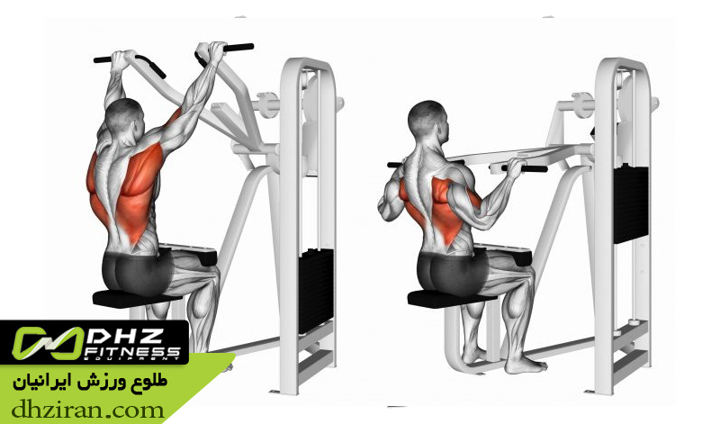 برنامه بدنسازی بالاتنه 